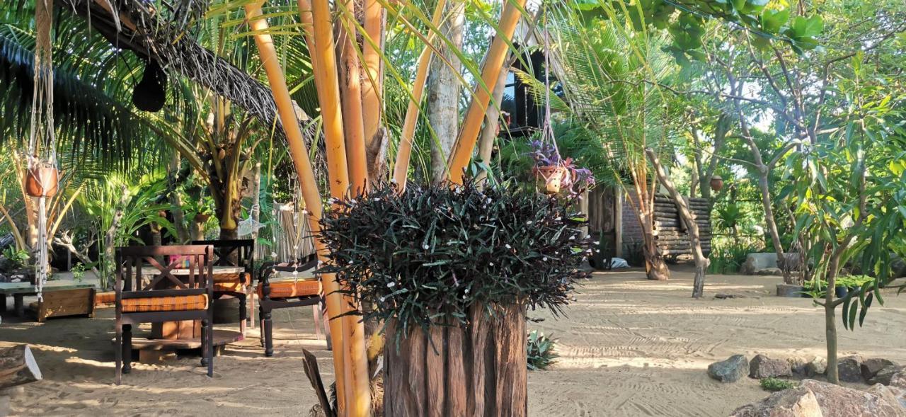 Monsoon Eco Resort - Whisky Point Arugambay Pottuvil Extérieur photo