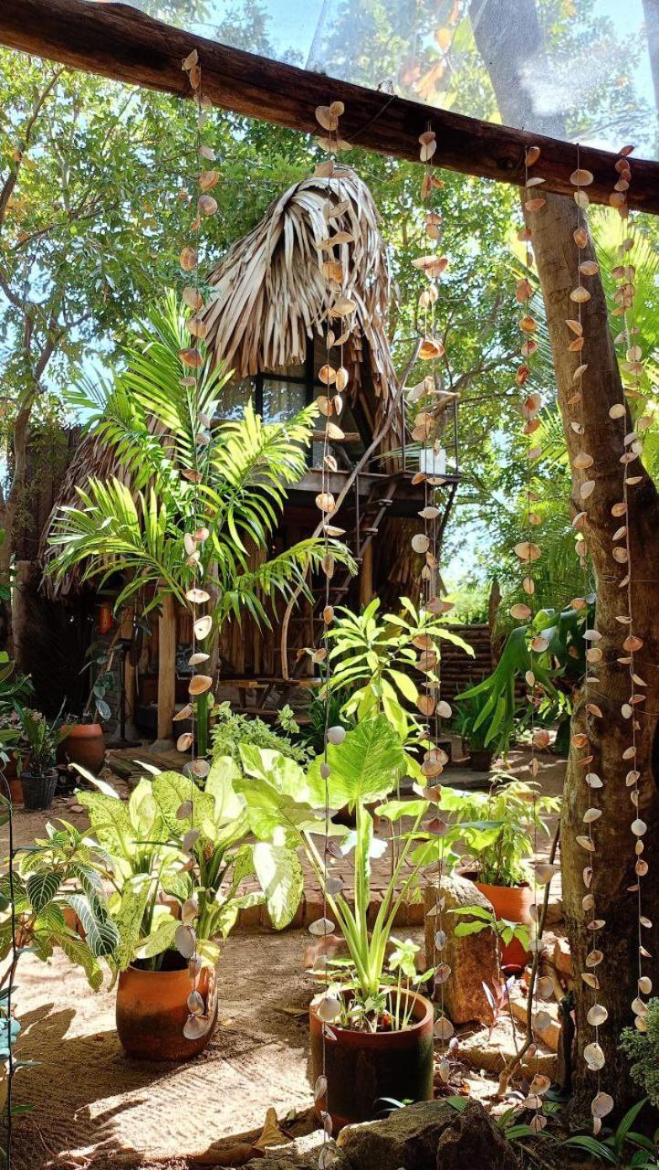 Monsoon Eco Resort - Whisky Point Arugambay Pottuvil Extérieur photo