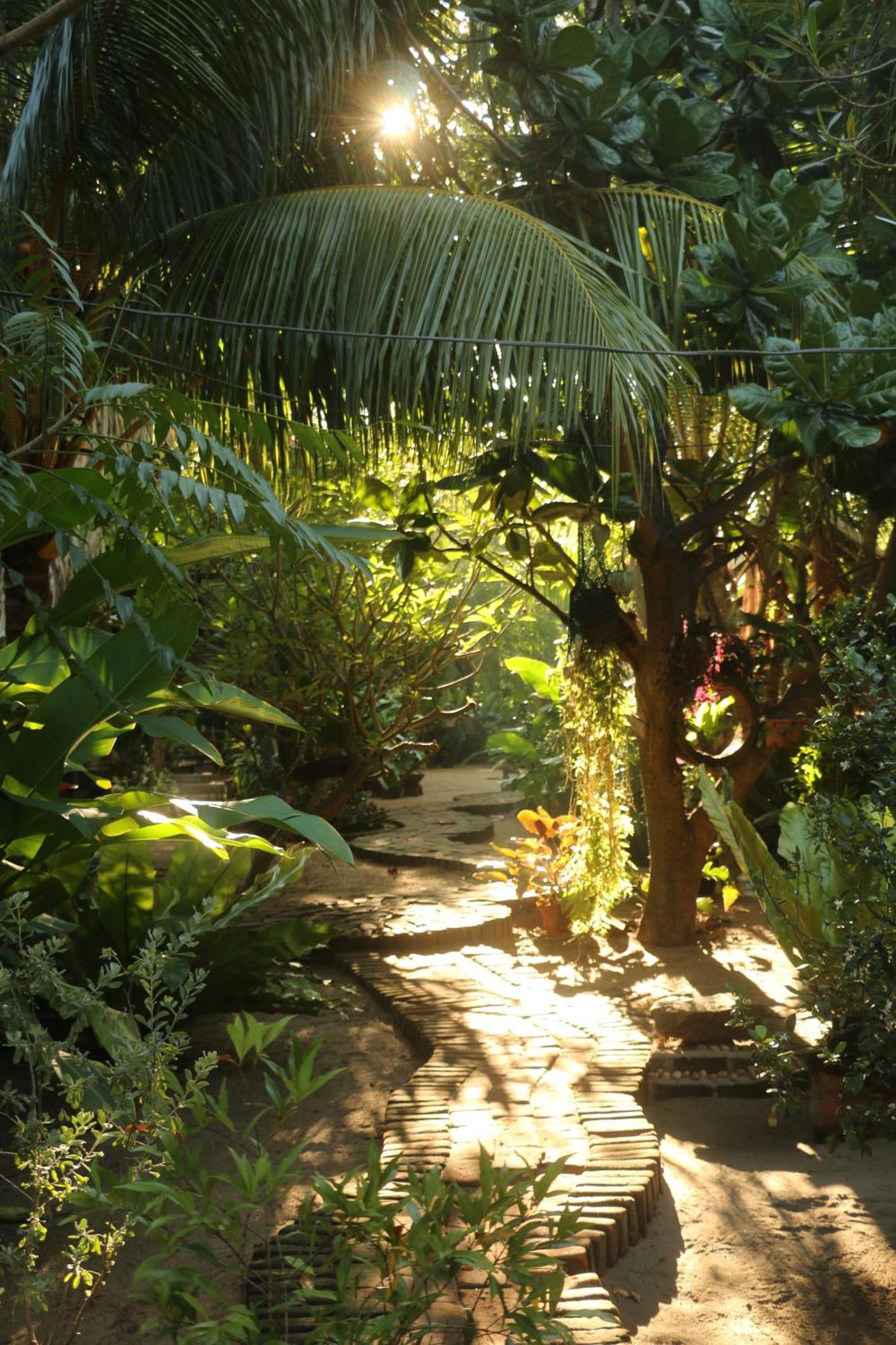 Monsoon Eco Resort - Whisky Point Arugambay Pottuvil Extérieur photo