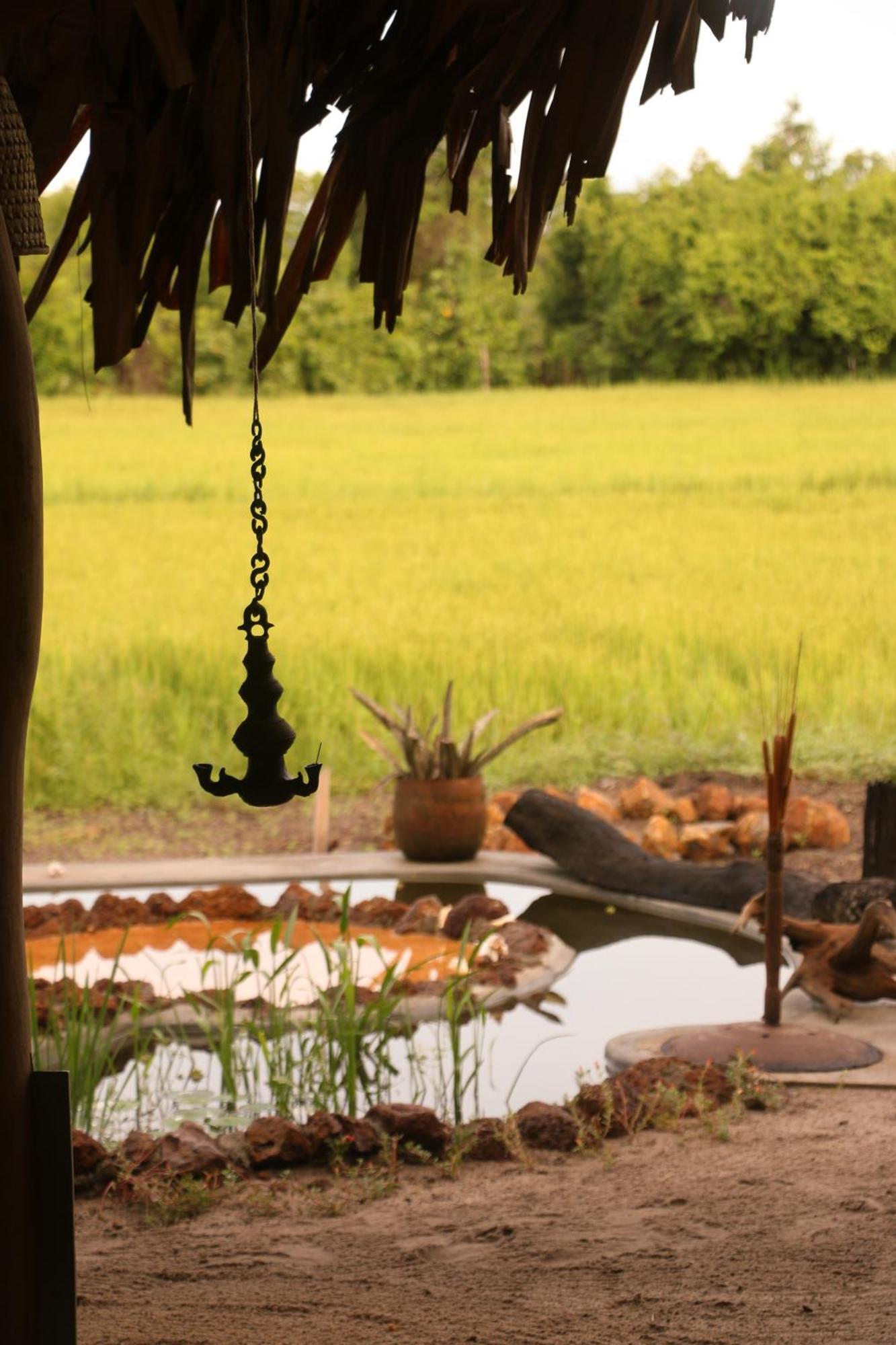 Monsoon Eco Resort - Whisky Point Arugambay Pottuvil Extérieur photo