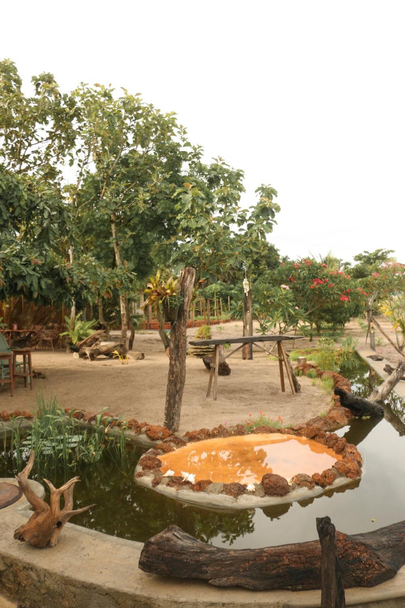 Monsoon Eco Resort - Whisky Point Arugambay Pottuvil Extérieur photo