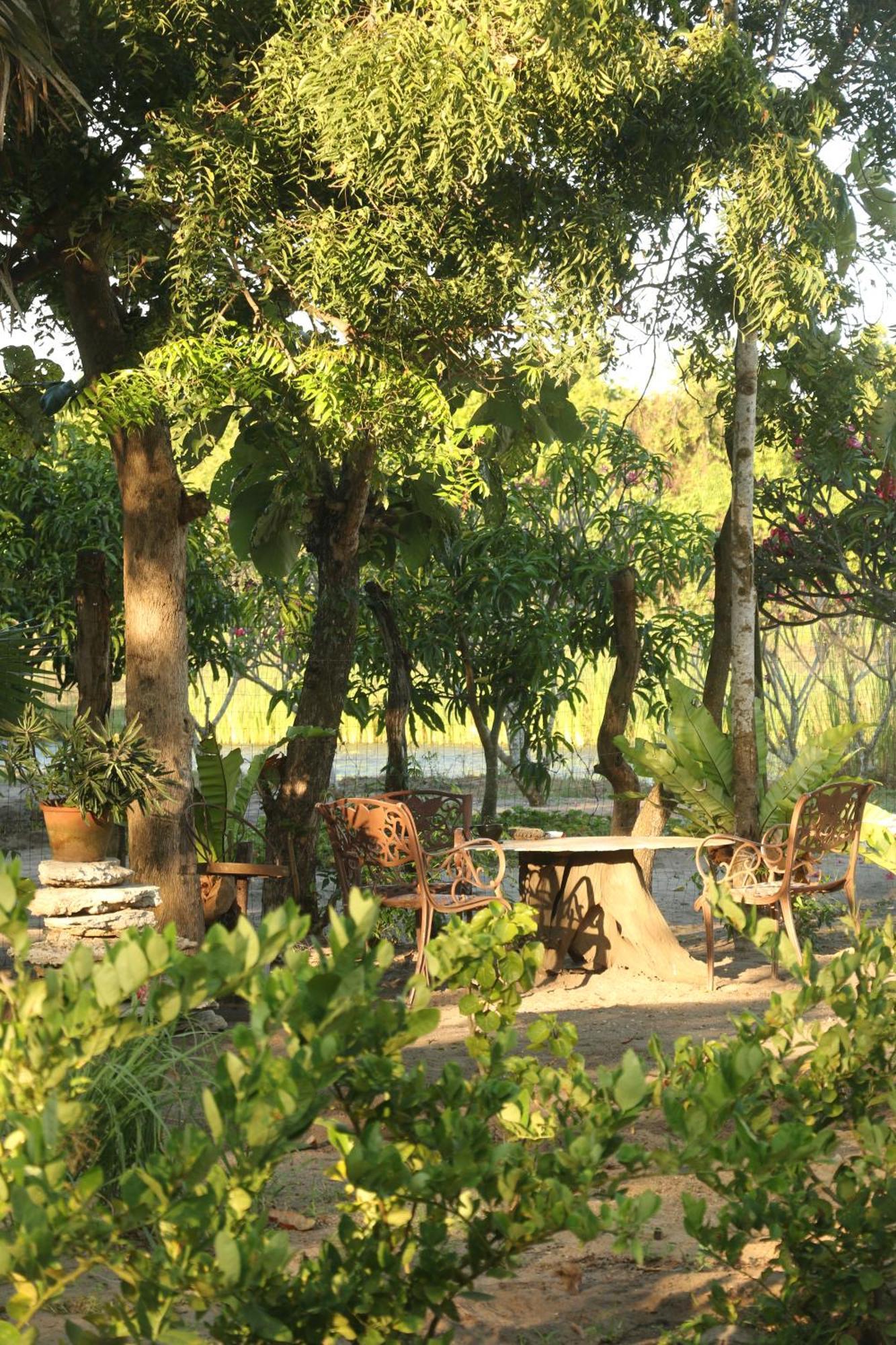 Monsoon Eco Resort - Whisky Point Arugambay Pottuvil Extérieur photo