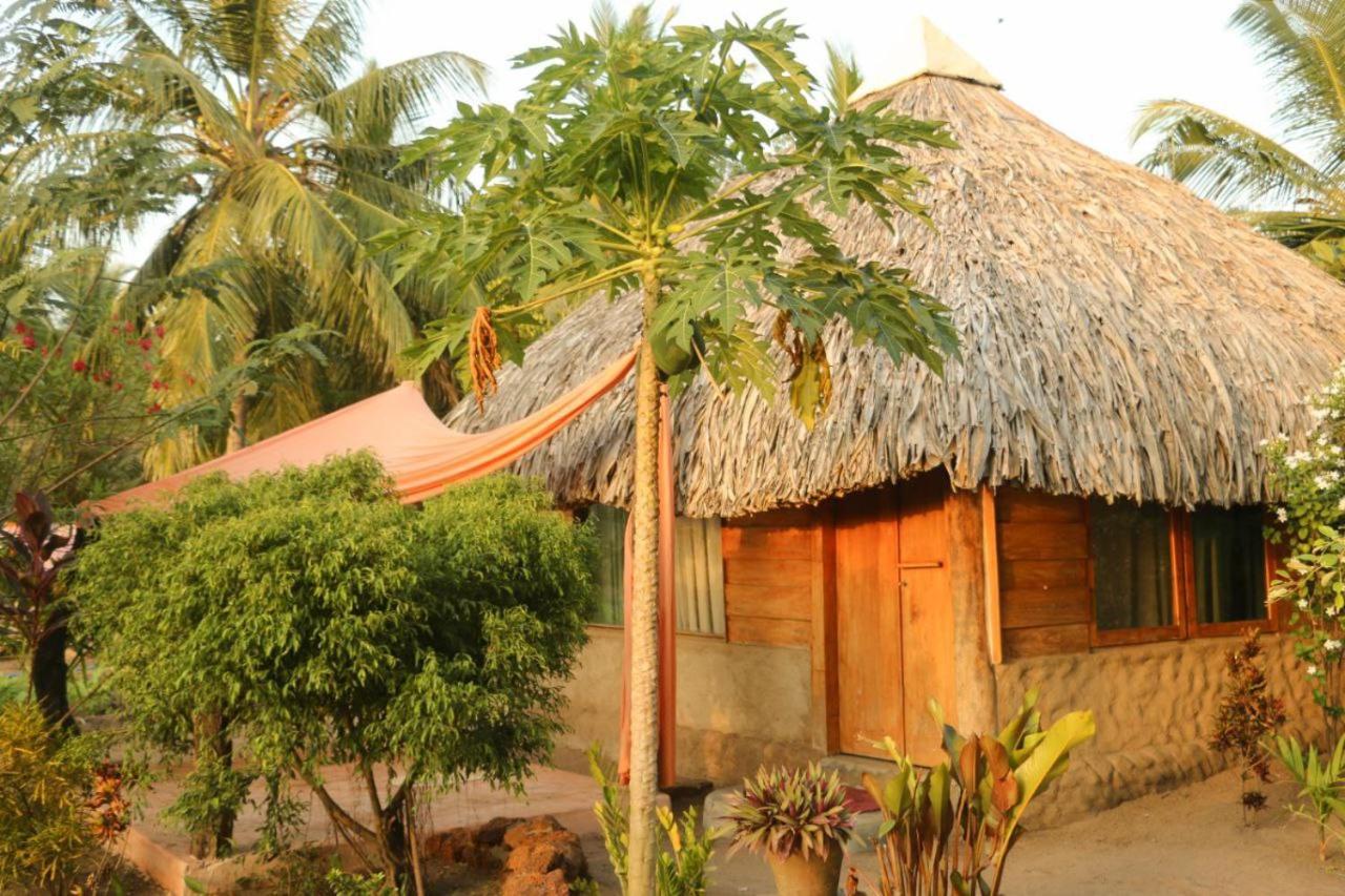 Monsoon Eco Resort - Whisky Point Arugambay Pottuvil Chambre photo